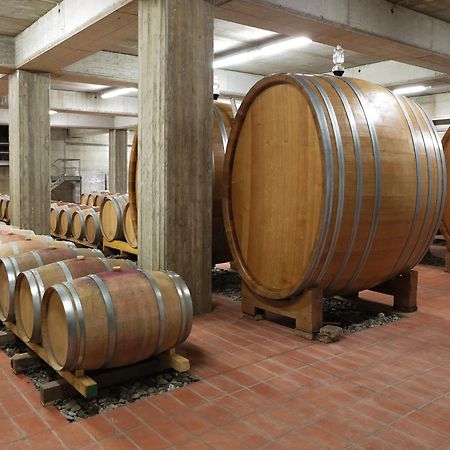 Poderi Firenze ξενώνας Cinigiano Εξωτερικό φωτογραφία