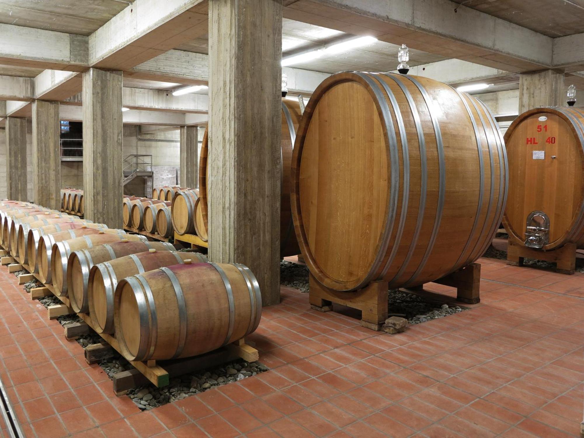Poderi Firenze ξενώνας Cinigiano Εξωτερικό φωτογραφία