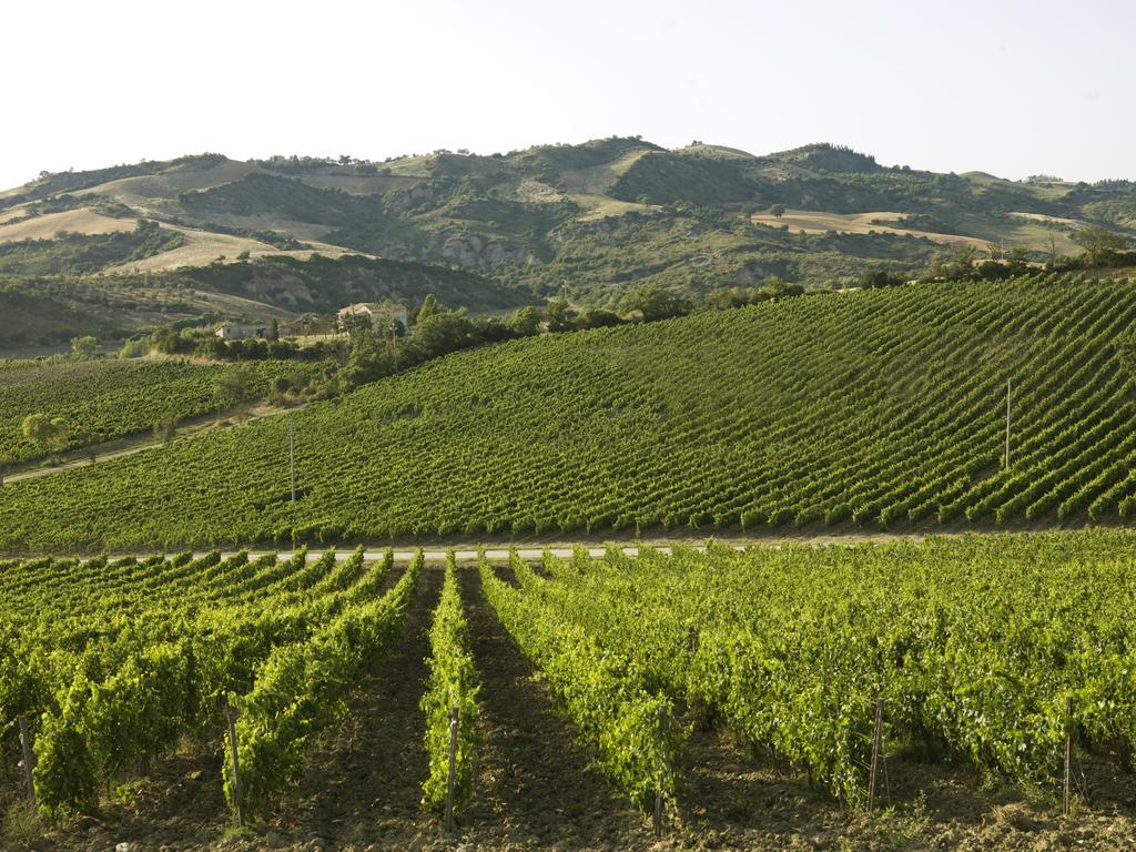 Poderi Firenze ξενώνας Cinigiano Εξωτερικό φωτογραφία